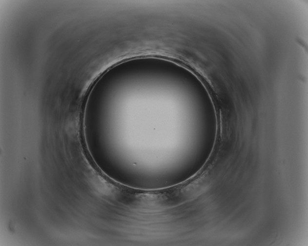 X0000097671500200803071543