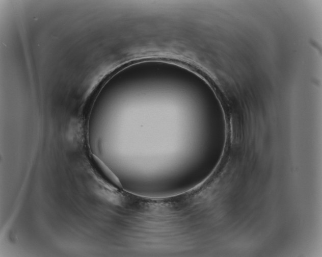 X0000097671501200803071543