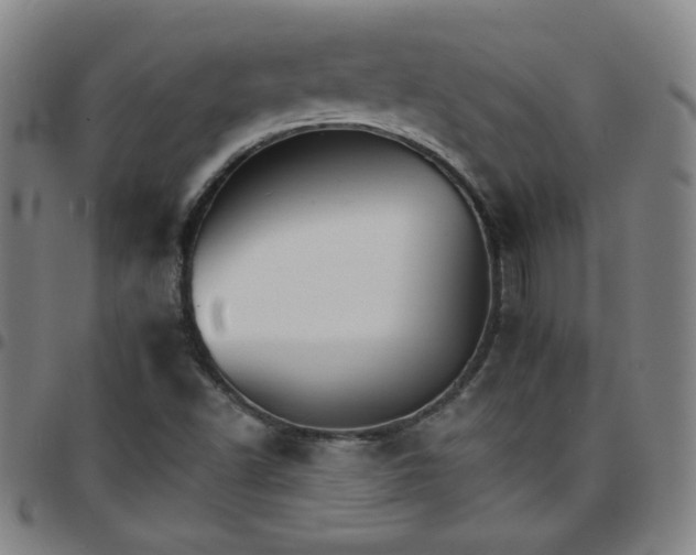 X0000097671502200803071543