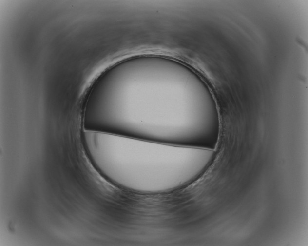 X0000097671504200803071543