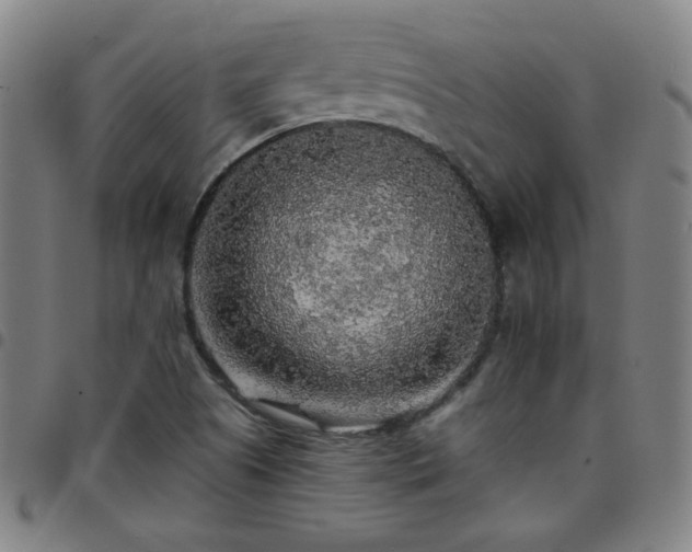 X0000097671505200803071543