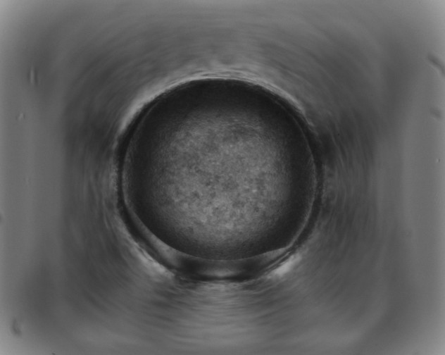 X0000097671506200803071543