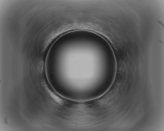 X0000097671507200803071543