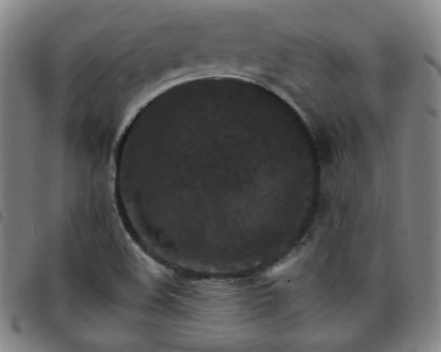 X0000097671508200803071543
