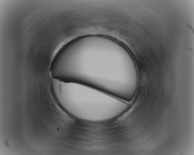 X0000097671509200803071543