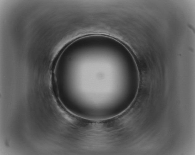 X0000097671511200803071543