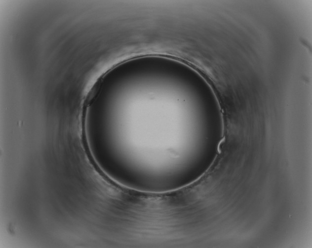 X0000097671512200803071543