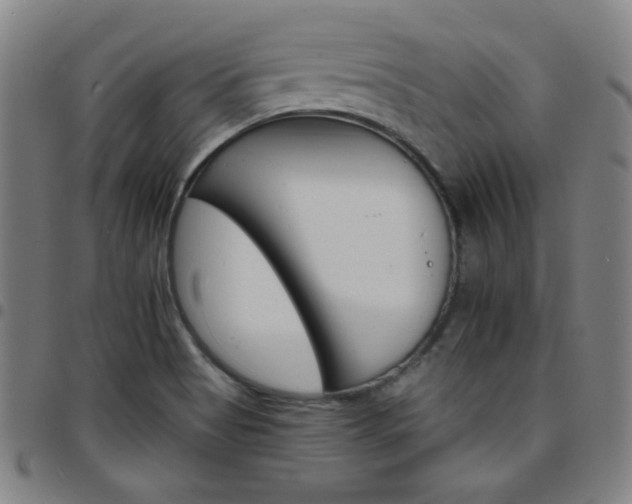 X0000097671513200803071543