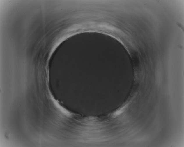 X0000097671515200803071543