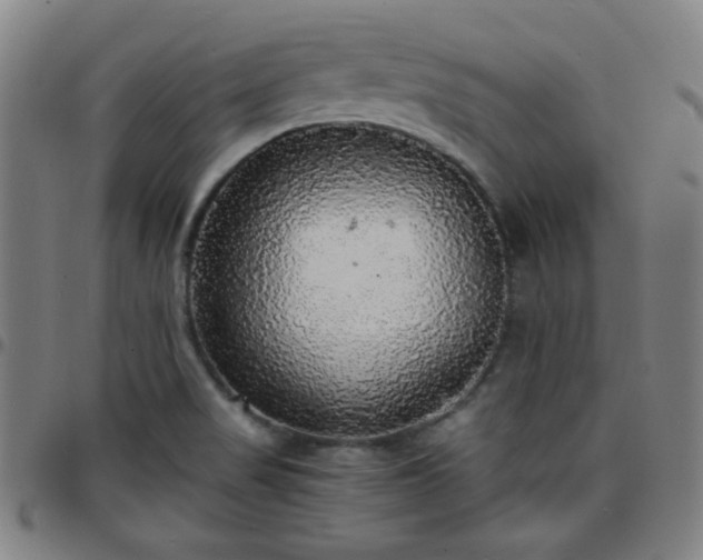 X0000097671517200803071543