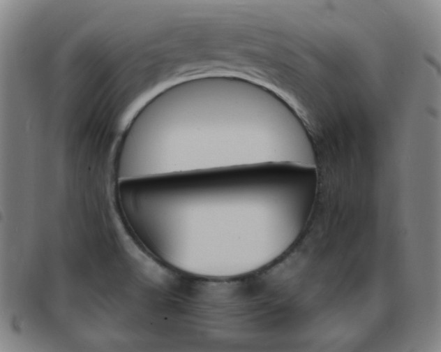 X0000097671518200803071543