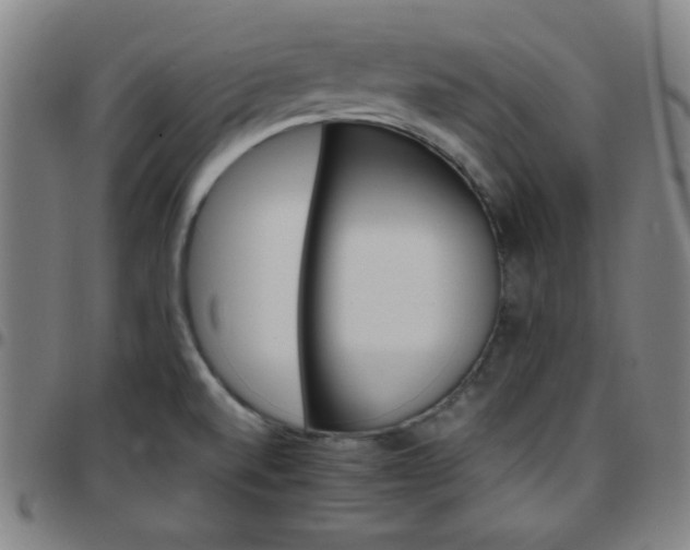 X0000097671520200803071543