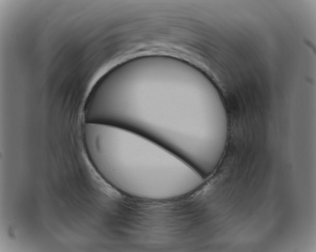 X0000097671522200803071543