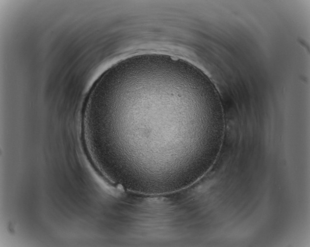 X0000097671523200803071543