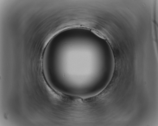 X0000097671524200803071543