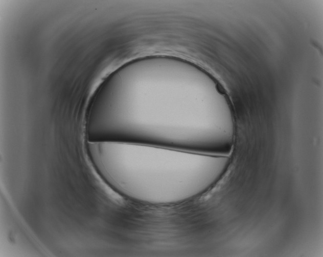 X0000097671525200803071543