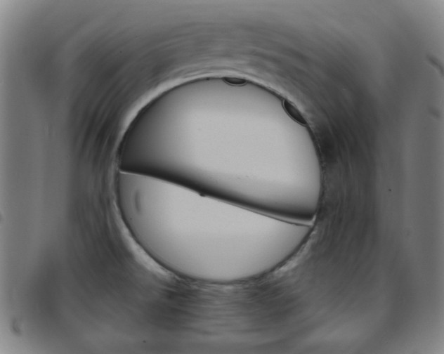 X0000097671526200803071543
