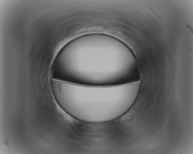 X0000097671527200803071544