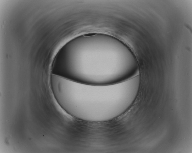 X0000097671528200803071544