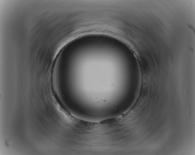 X0000097671530200803071544
