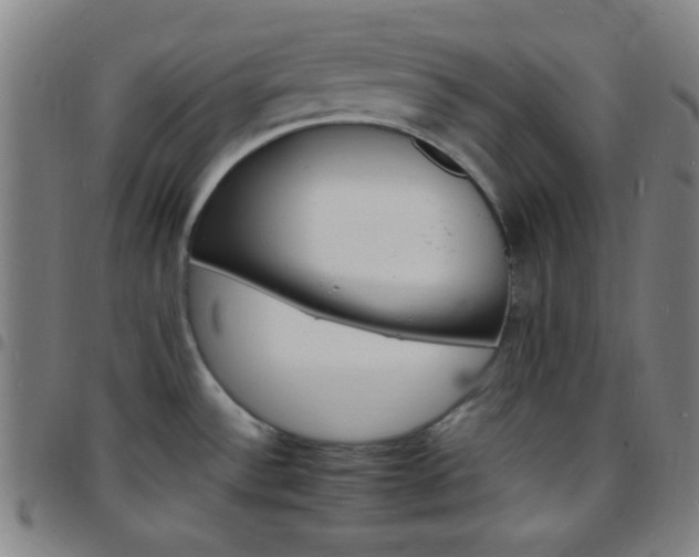 X0000097671532200803071544