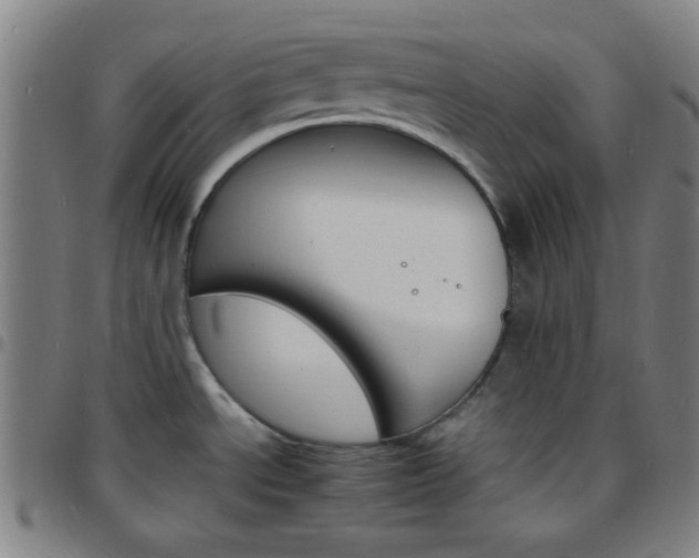 X0000097671534200803071544