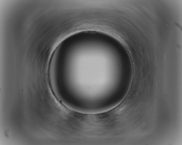 X0000097671536200803071544