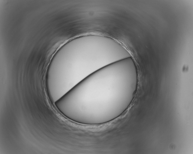 X0000097670001200803142205