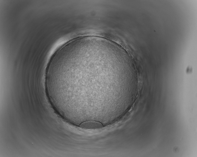 X0000097670006200803142205