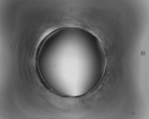 X0000097670008200803142205