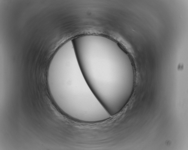 X0000097670009200803142205