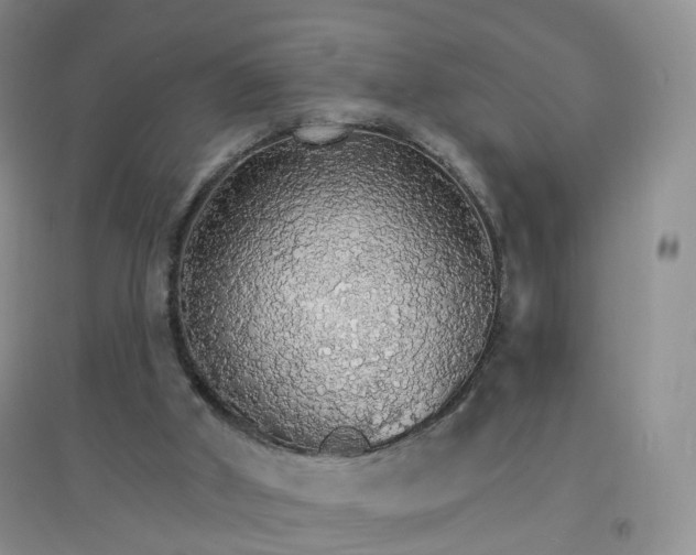 X0000097670010200803142205