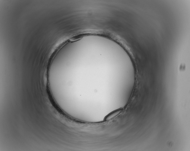 X0000097670011200803142205
