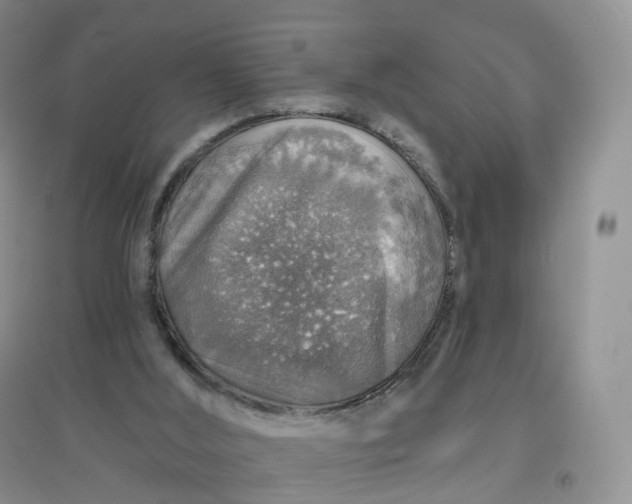 X0000097670012200803142205