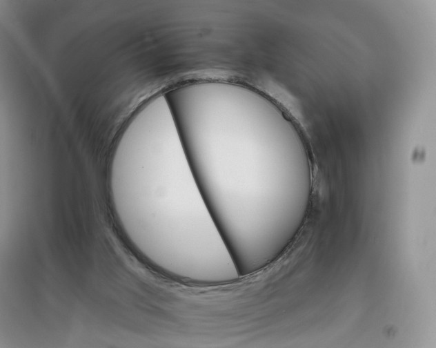 X0000097670013200803142205