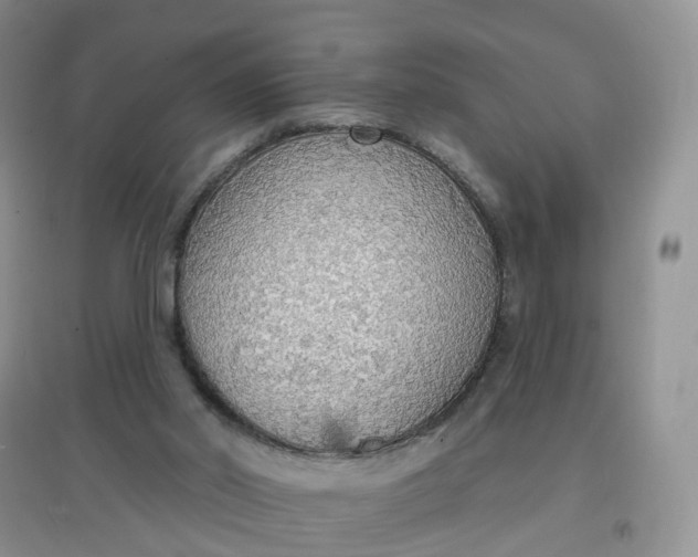 X0000097670014200803142205