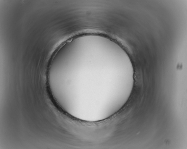X0000097670015200803142205