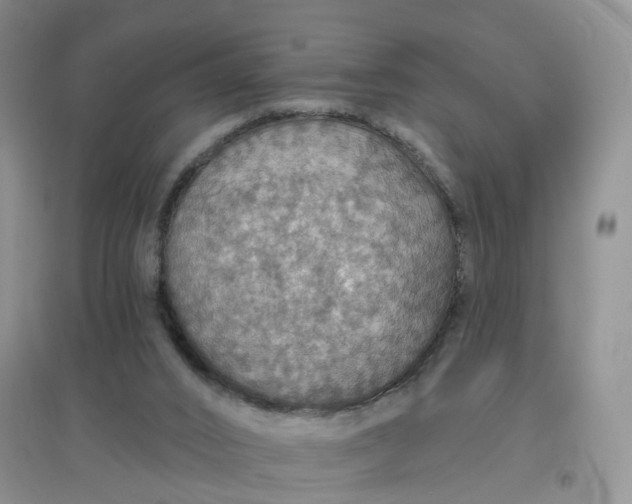 X0000097670016200803142205