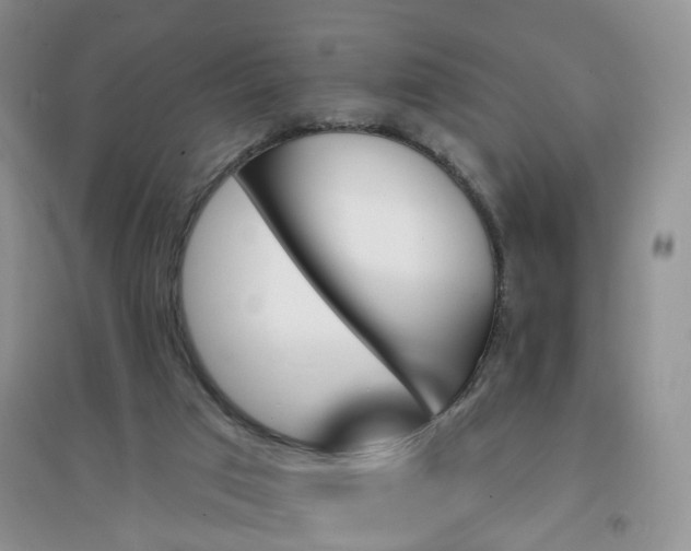 X0000097670017200803142205