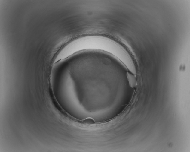 X0000097670019200803142205