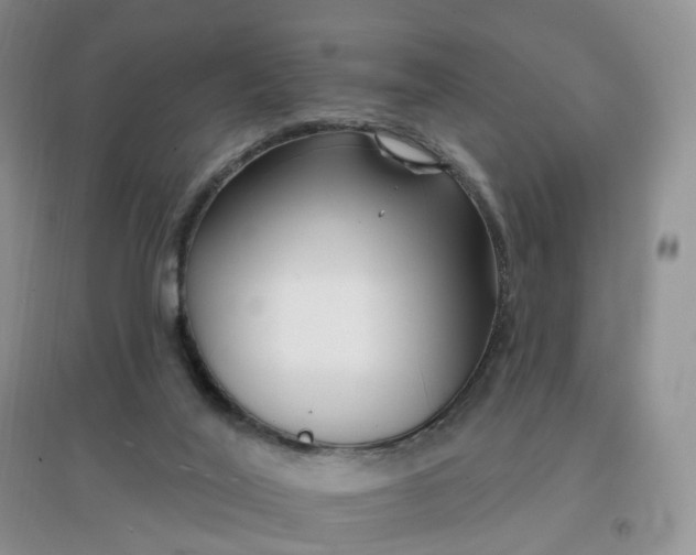 X0000097670020200803142205
