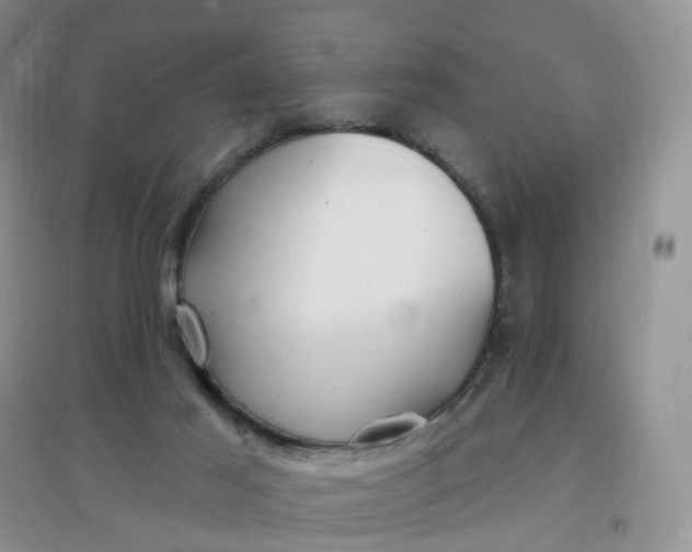X0000097670021200803142205