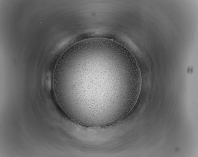 X0000097670022200803142205