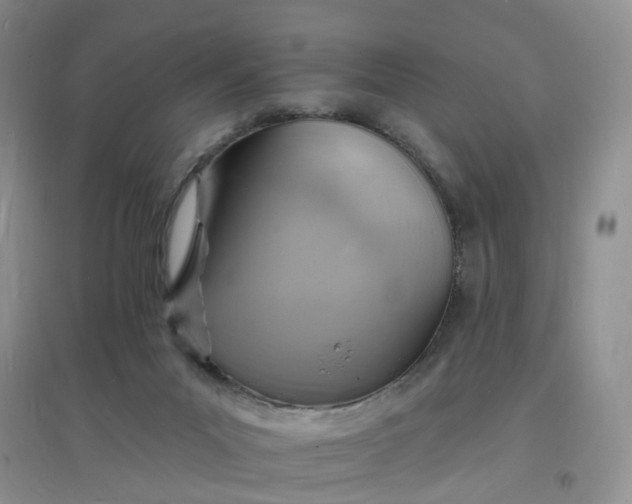 X0000097670023200803142205