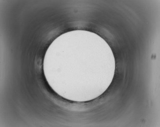 X0000097670024200803142205
