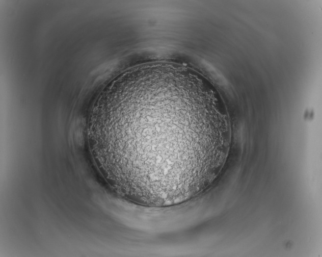 X0000097670026200803142205