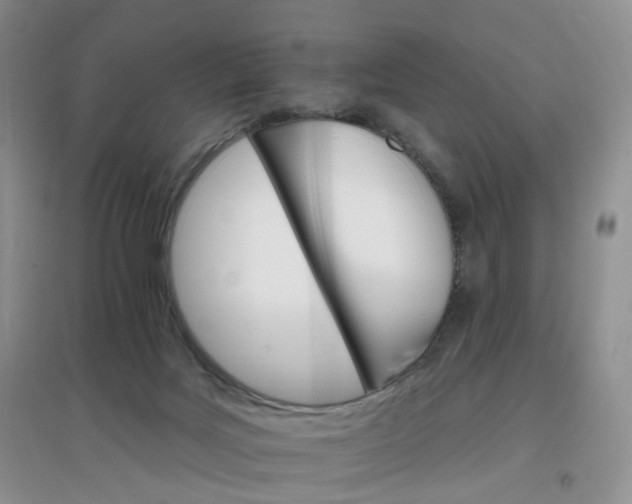 X0000097670027200803142205