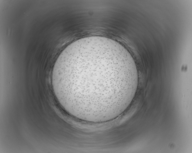X0000097670028200803142205