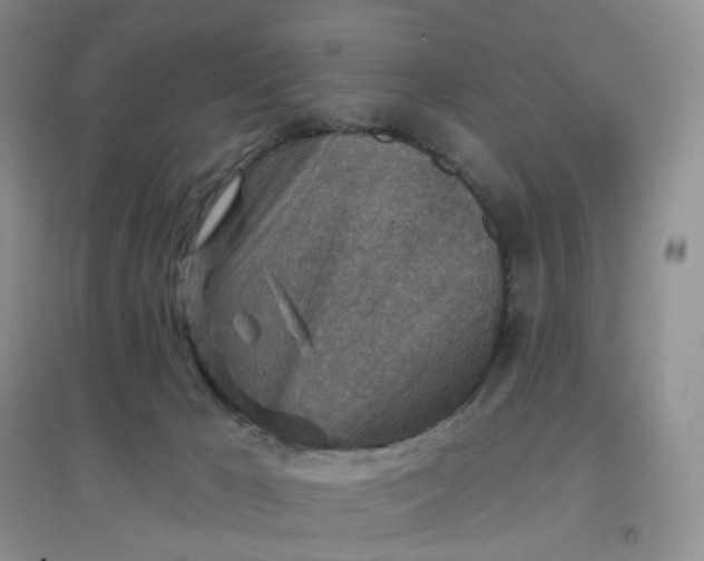 X0000097670029200803142205
