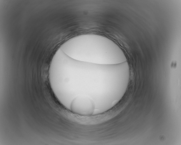 X0000097670030200803142205